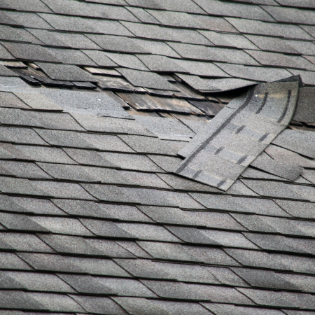 Peak Performance Roofing Roof Repair Service